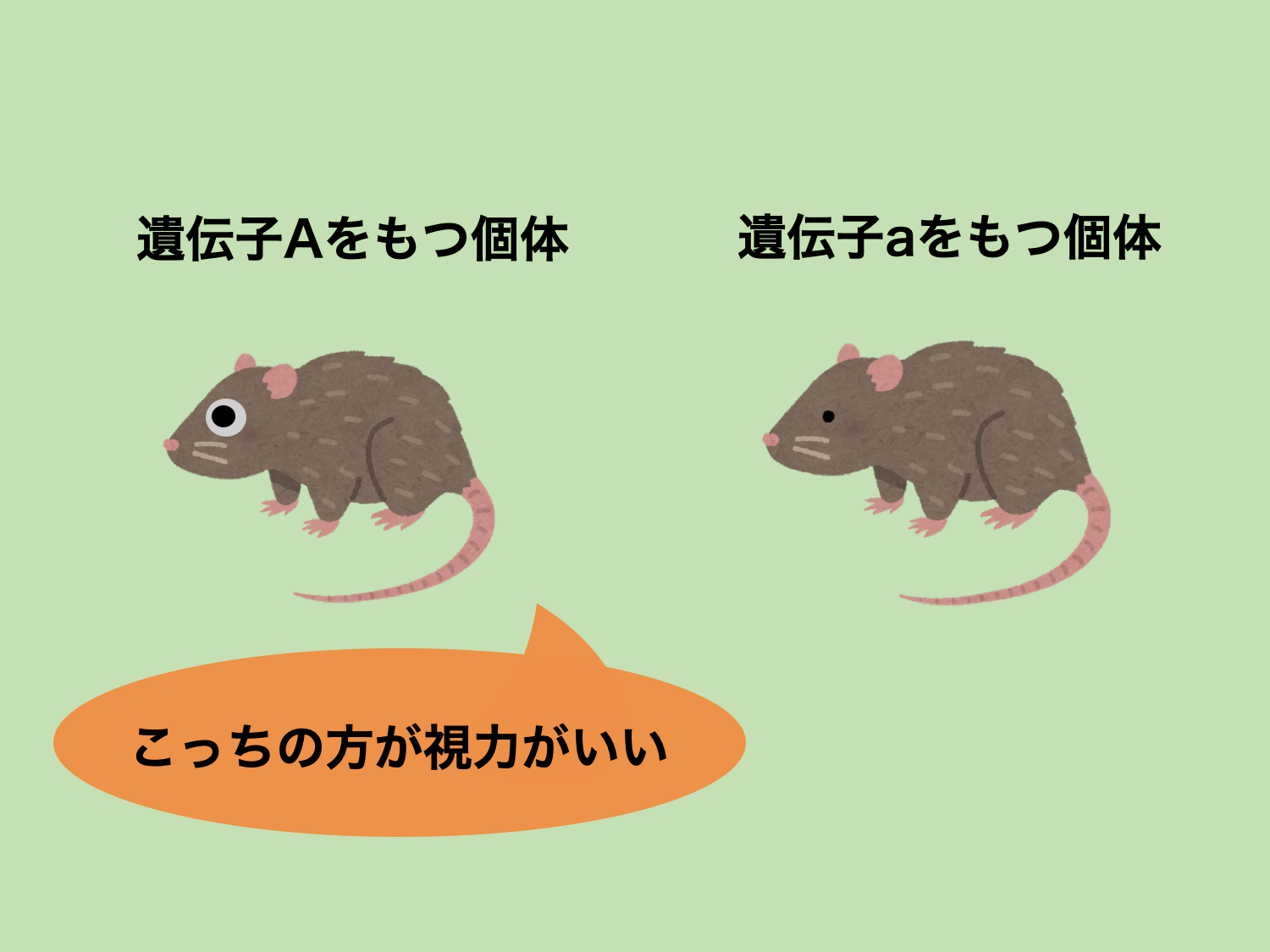 亜種と突然変異種の違いは何ですか? | 亜種 変種 品種 違い – KDWDT