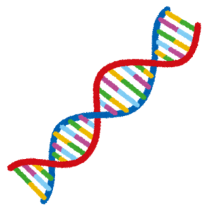 DNA、RNA、タンパク質。生物に関わる物質の名前とその関係 | 生物系大学生の生存戦略